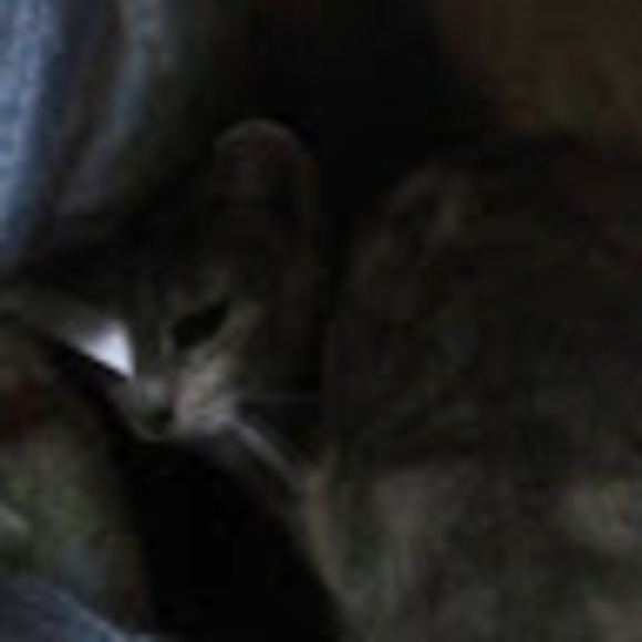 Meet your Posher, Marissa - Picture 1 of 1